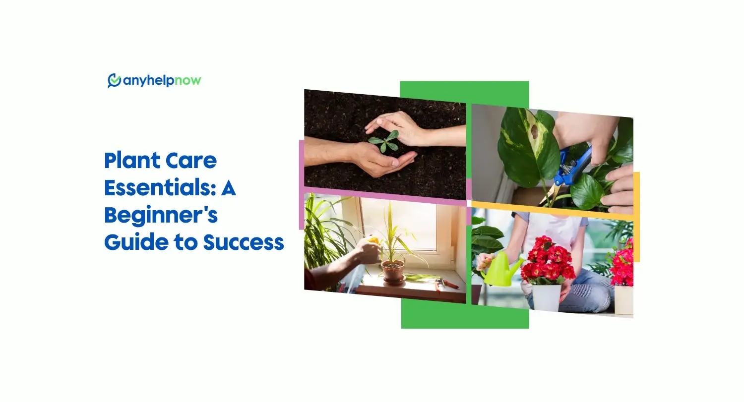 Plant Care Essentials: A Beginner's Guide to Success