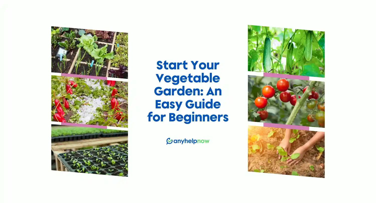 Start Your Vegetable Garden: An Easy Guide for Beginners